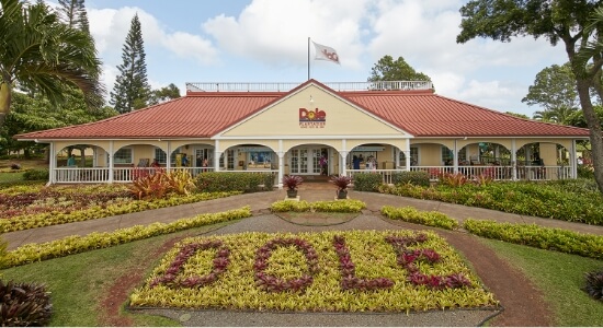 Haleiwa Express & Dole Plantation