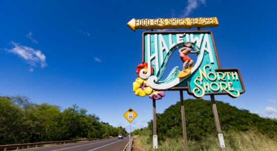 Haleiwa Express & Dole Plantation