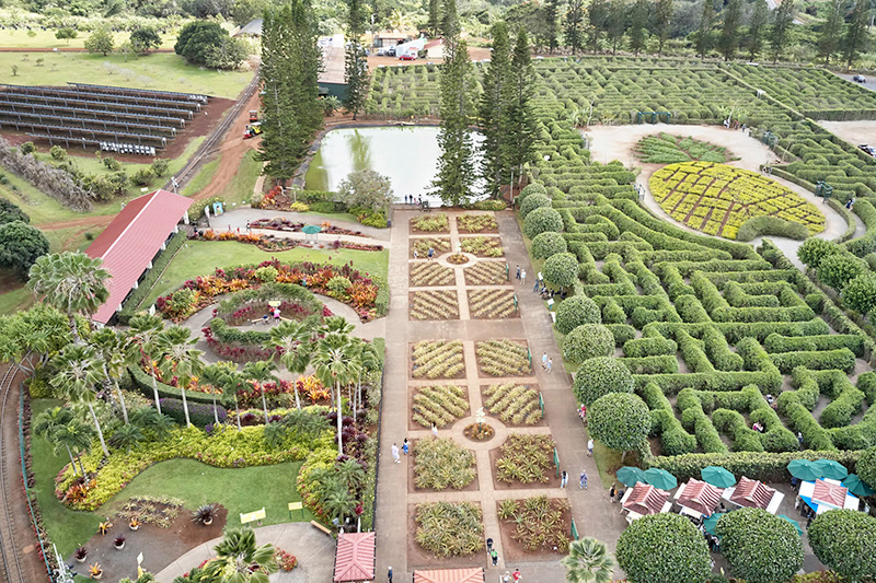 Haleiwa & Dole Plantation Express