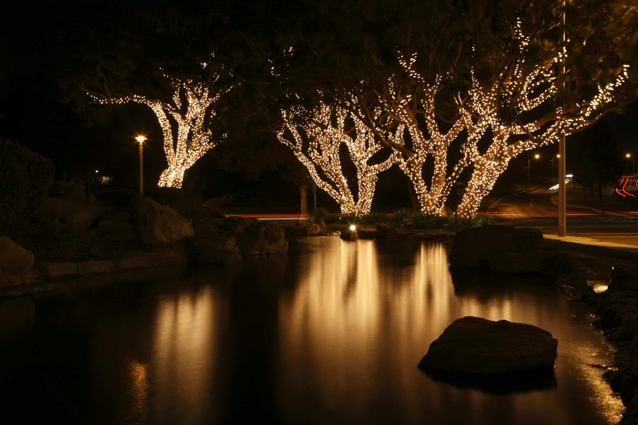 christmas decoration on tree